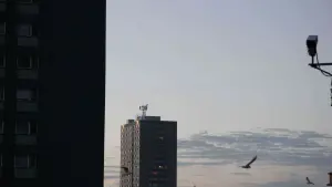 Watch film Red Road | Mark Kermode reviews Andrea Arnold's Red Road