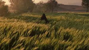 Backdrop to the movie "Kingdom of Heaven" #618696