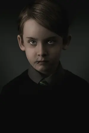 Poster to the movie "The Hole in the Ground" #347004