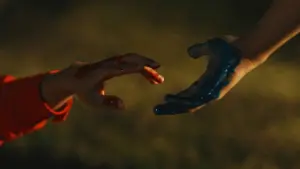 Bring Back The Color