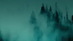 Backdrop to the movie "Hunting Matthew Nichols" #775398