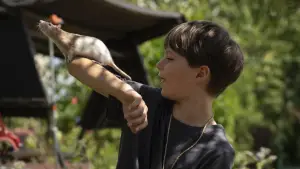 Backdrop to the movie "Club der bunten Ratten" #543695