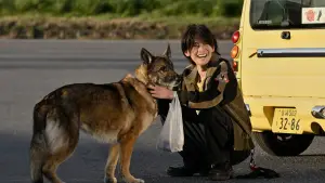 Backdrop to the movie "The Boy and the Dog" #671601