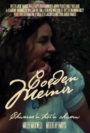 Poster to the movie "Meinir