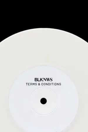 Poster to the movie "BLKNWS: Terms & Conditions" #690872