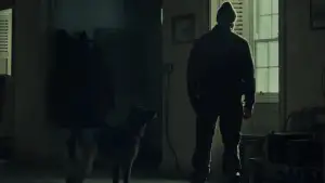 Backdrop to the movie "Shelter" #795471