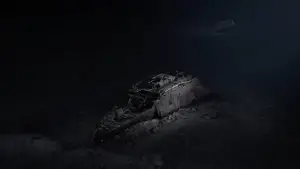 Backdrop to the movie "Titanic: The Digital Resurrection" #692788