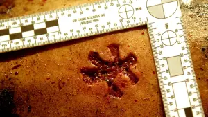 Backdrop to the movie "Saw III" #790722