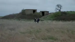 Backdrop to the movie "The Extraordinary Marvel of Francesco Linguine" #469745