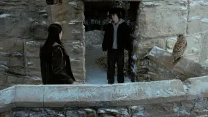 Backdrop to the movie "Harry Potter and the Goblet of Fire" #802006