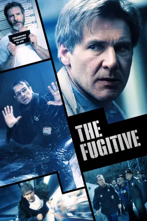 Poster to the movie "The Fugitive" #773240