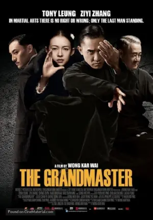 Poster to the movie "The Grandmaster" #275673