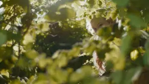 Backdrop to the movie "The Magic Faraway Tree" #573245