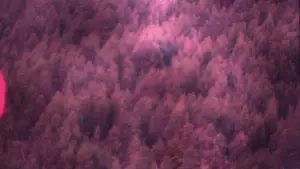 Backdrop to the movie "Travelers