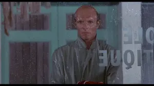 Backdrop to the movie "Rider on the Rain" #436847