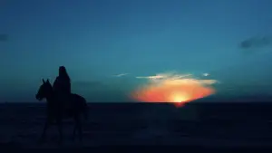 Backdrop to the movie "Blades of the Guardians" #760877