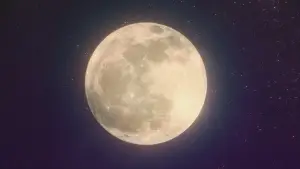 Backdrop to the movie "Miraculous World: Shanghai – The Legend of Ladydragon" #752498