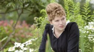 Backdrop to the movie "Diary of a Chambermaid" #428204