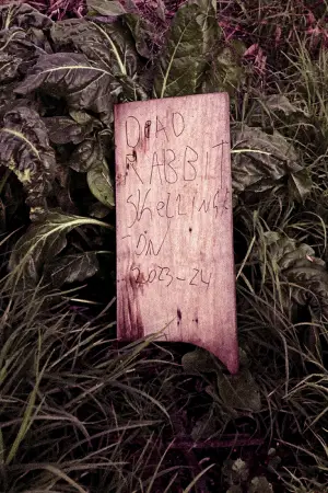 Poster to the movie "Dead Rabbit Skellington" #755603