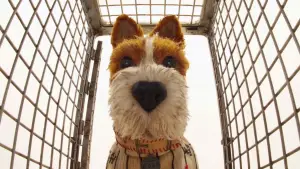 Backdrop to the movie "Isle of Dogs" #606301