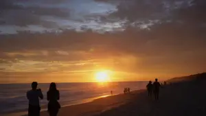 Backdrop to the movie "Return: Saving Turtles" #543135