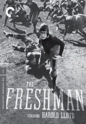 Poster to the movie "The Freshman" #768414