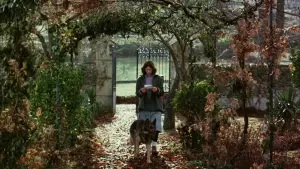 Backdrop to the movie "El Sur" #535737