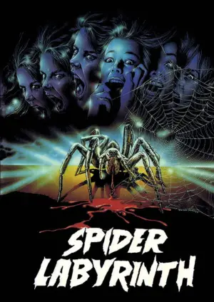 Poster to the movie "The Spider Labyrinth" #771940
