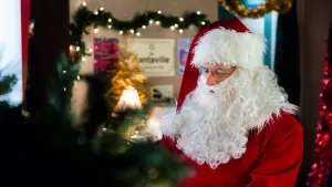 Backdrop to the movie "Charming Christmas" #495089