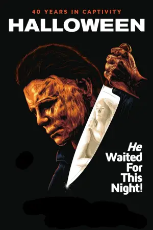 Poster to the movie "Halloween" #640279