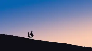 Backdrop to the movie "Adoration" #495591