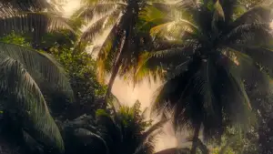 Backdrop to the movie "Pacifiction" #910822