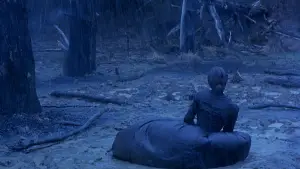 Backdrop to the movie "The Piano" #604187