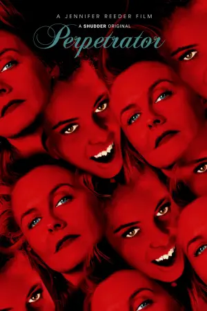 Poster to the movie "Perpetrator" #157471