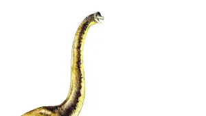 Backdrop to the movie "Jurassic Park" #181493