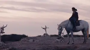 Backdrop to the movie "Animale" #599428