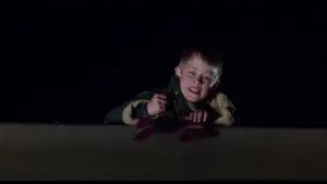 Backdrop to the movie "Home Alone 2: Lost in New York" #567308