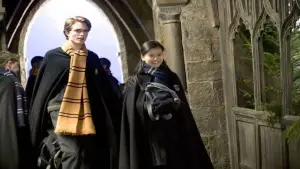 Backdrop to the movie "Harry Potter and the Goblet of Fire" #829959