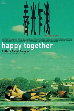 Poster to the movie "Happy Together" #155171