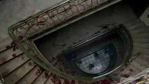 Backdrop to the movie "Possession" #803180