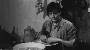 Backdrop to the movie "Rocco and His Brothers" #750837