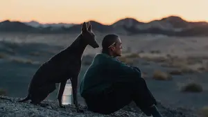 Backdrop to the movie "Black Dog" #600712