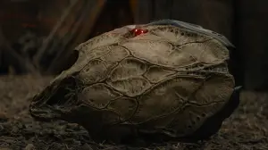 Backdrop to the movie "Prey" #626132