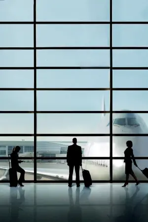 Poster to the movie "Up in the Air" #648454