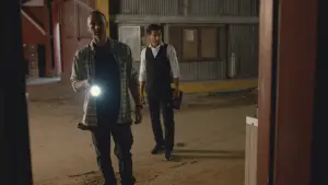 Backdrop to the movie "Site" #711937