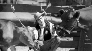 Backdrop to the movie "The Kid Brother" #768027