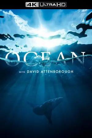 Poster to the movie "Ocean with David Attenborough" #617878