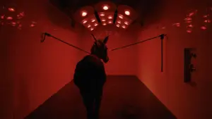 Backdrop to the movie "EO" #195289