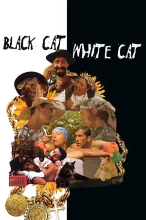 Poster to the movie "Black Cat, White Cat" #201381