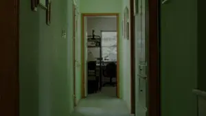 Backdrop to the movie "mid90s" #211609